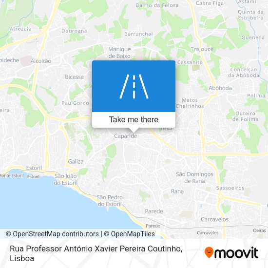 Rua Professor António Xavier Pereira Coutinho map