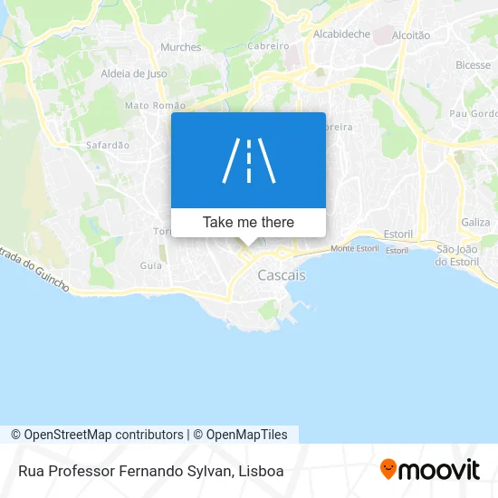 Rua Professor Fernando Sylvan map