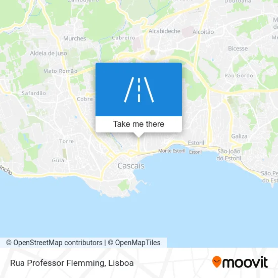 Rua Professor Flemming map