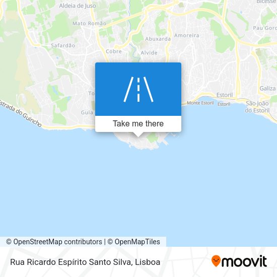Rua Ricardo Espírito Santo Silva map