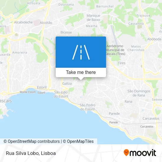 Rua Silva Lobo map