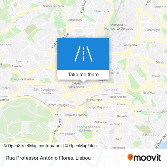 Rua Professor António Flores mapa