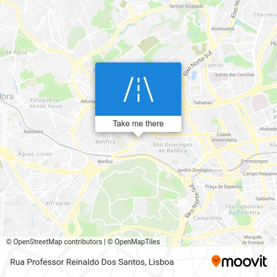 Rua Professor Reinaldo Dos Santos map