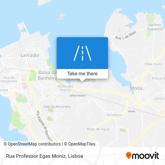 Rua Professor Egas Moniz map