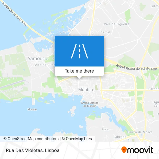 Rua Das Violetas map