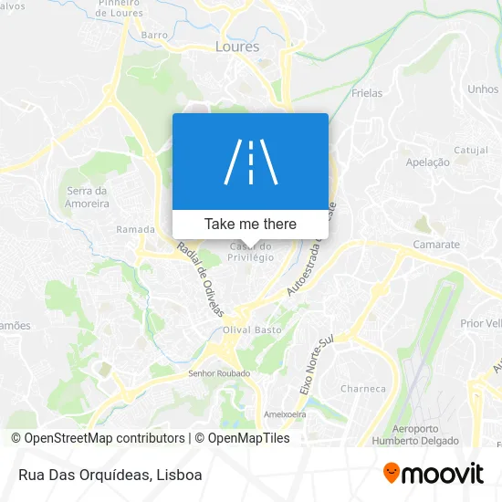 Rua Das Orquídeas map