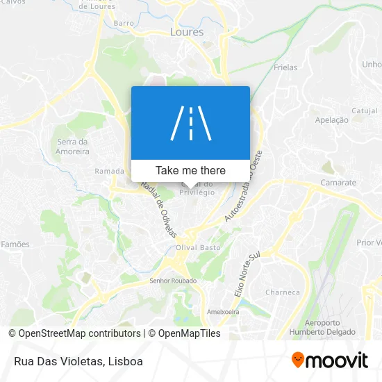 Rua Das Violetas map