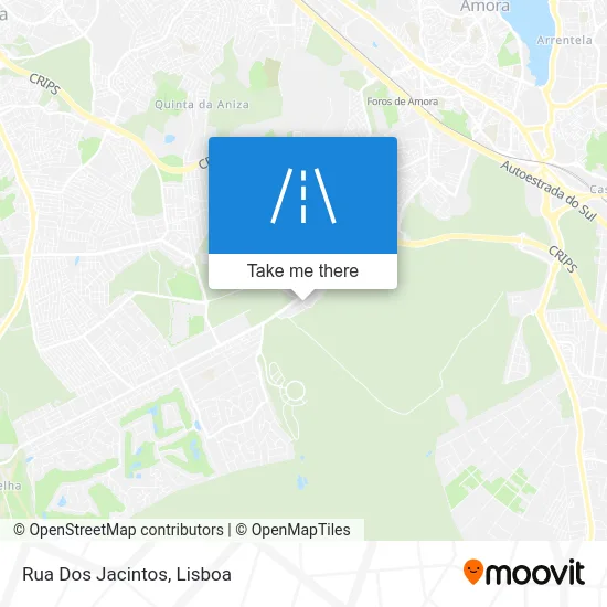 Rua Dos Jacintos map