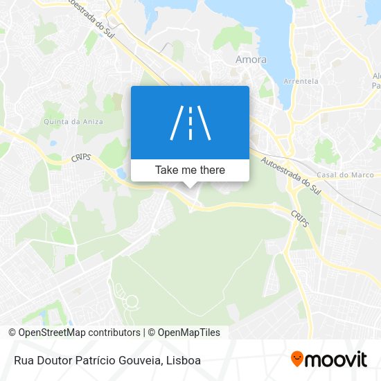 Rua Doutor Patrício Gouveia mapa