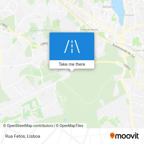 Rua Fetos map