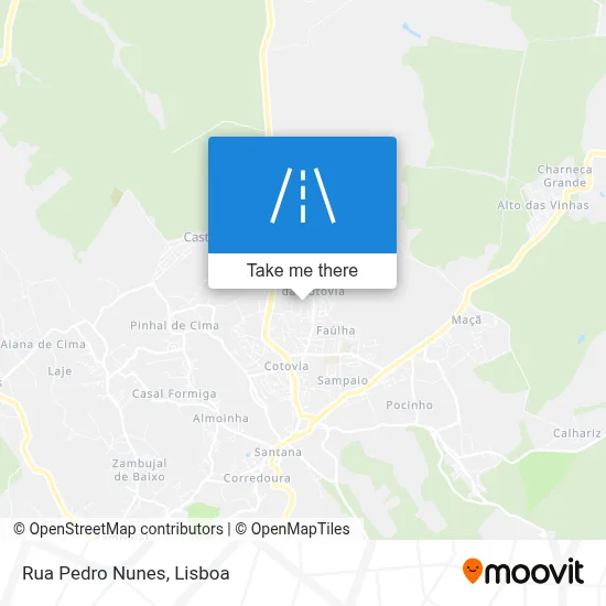 Rua Pedro Nunes map