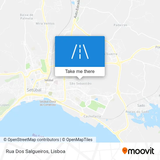 Rua Dos Salgueiros map