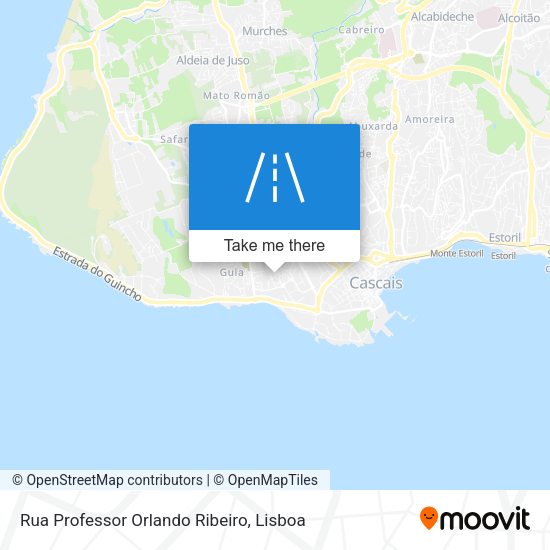 Rua Professor Orlando Ribeiro map