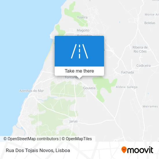 Rua Dos Tojais Novos map