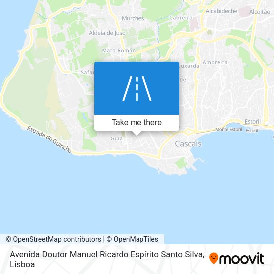 Avenida Doutor Manuel Ricardo Espírito Santo Silva mapa