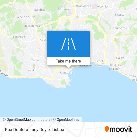 Rua Doutora Iracy Doyle map