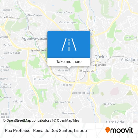 Rua Professor Reinaldo Dos Santos mapa