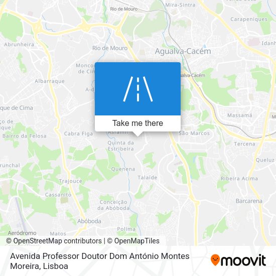 Avenida Professor Doutor Dom António Montes Moreira map