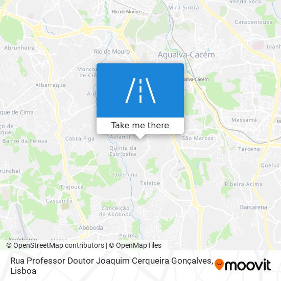 Rua Professor Doutor Joaquim Cerqueira Gonçalves mapa