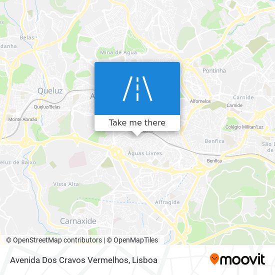 Avenida Dos Cravos Vermelhos map