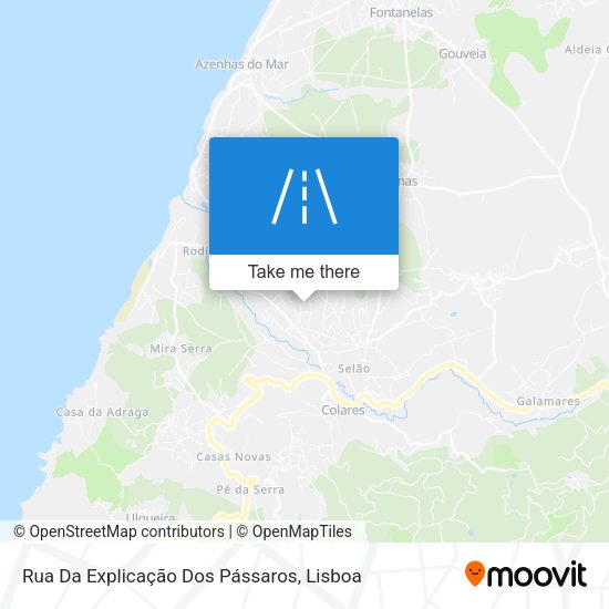 Rua Da Explicação Dos Pássaros map