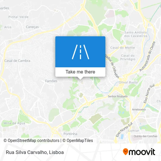 Rua Silva Carvalho map