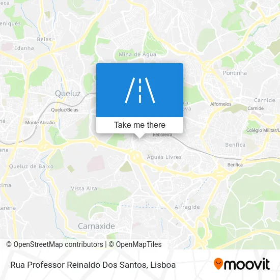 Rua Professor Reinaldo Dos Santos map