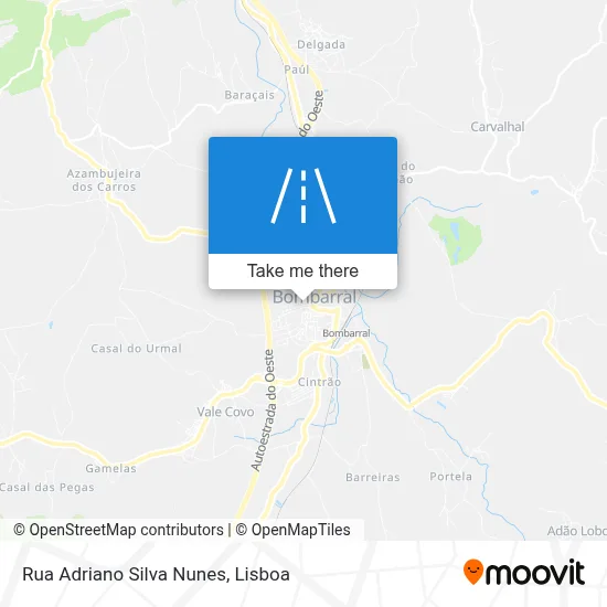 Rua Adriano Silva Nunes map