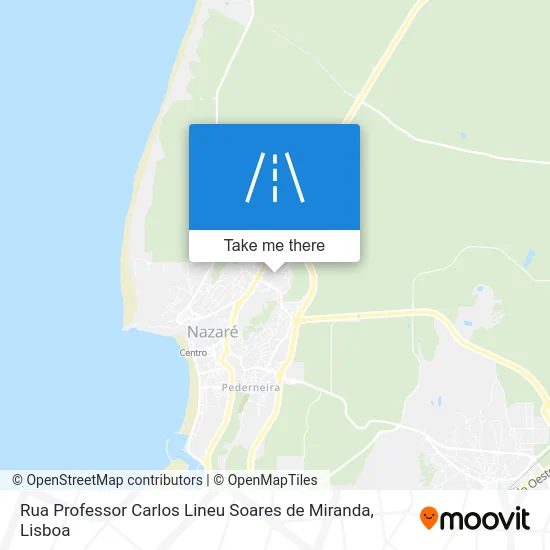 Rua Professor Carlos Lineu Soares de Miranda map