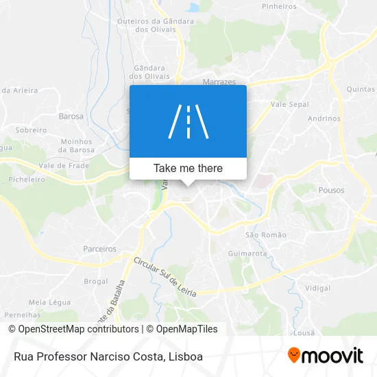 Rua Professor Narciso Costa map