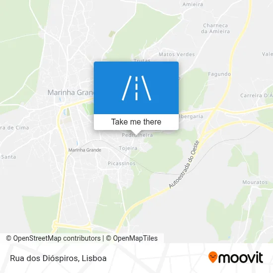 Rua dos Dióspiros map