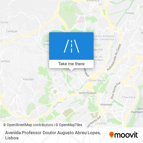 Avenida Professor Doutor Augusto Abreu Lopes mapa