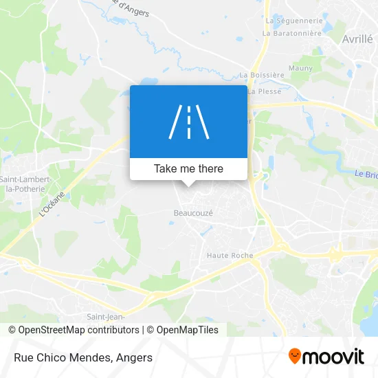 Rue Chico Mendes map