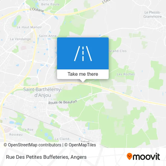 Rue Des Petites Buffeteries map