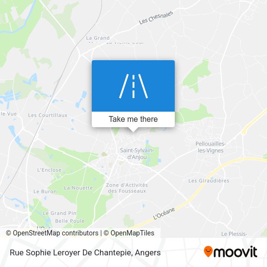 Rue Sophie Leroyer De Chantepie map