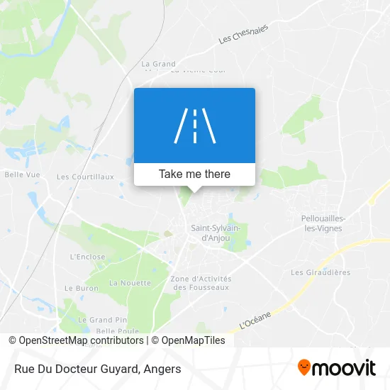 Rue Du Docteur Guyard map