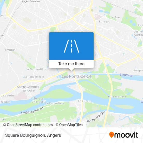 Square Bourguignon map