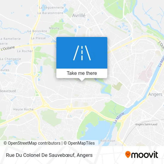 Rue Du Colonel De Sauvebœuf map