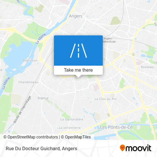 Rue Du Docteur Guichard map