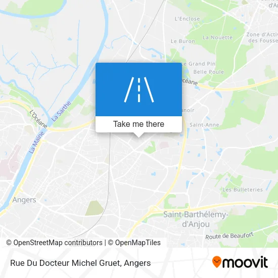 Rue Du Docteur Michel Gruet map