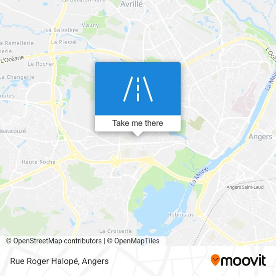 Rue Roger Halopé map