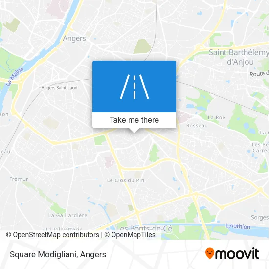 Square Modigliani map