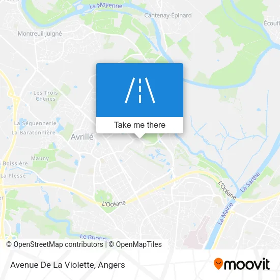 Avenue De La Violette map