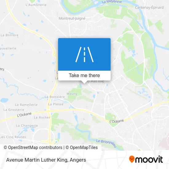 Avenue Martin Luther King map