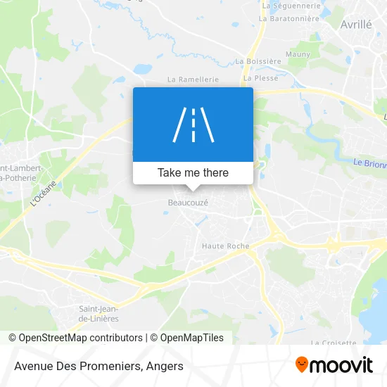 Avenue Des Promeniers map