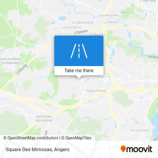 Square Des Mimosas map