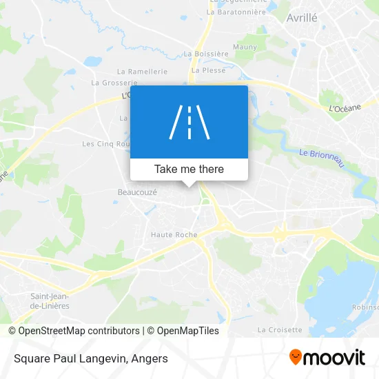 Square Paul Langevin map