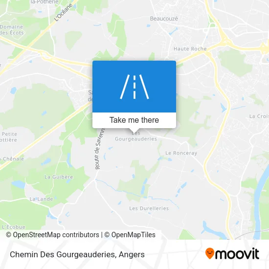 Chemin Des Gourgeauderies map