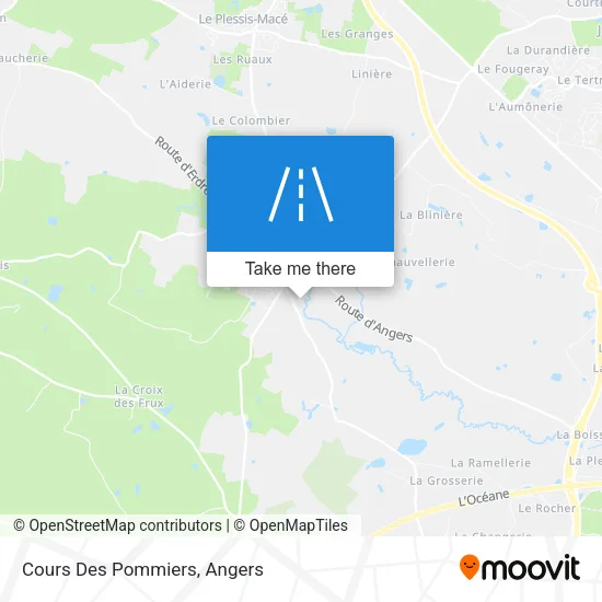 Cours Des Pommiers map
