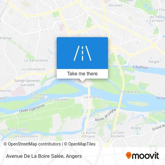 Avenue De La Boire Salée map